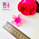 گیره انبری گل پلومریا رنگی