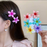 گیره انبری رنگی گل پلومریا دونه ای تکی
